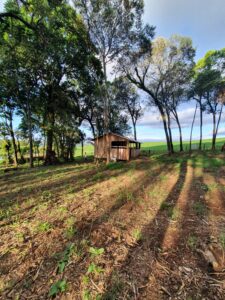Fazenda Banhado Verde