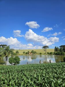 Fazenda Banhado Verde